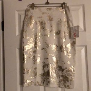 Elegant Cassie Lularoe CASSIE Skirt